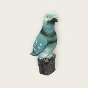 Realistic Pigeon Bird